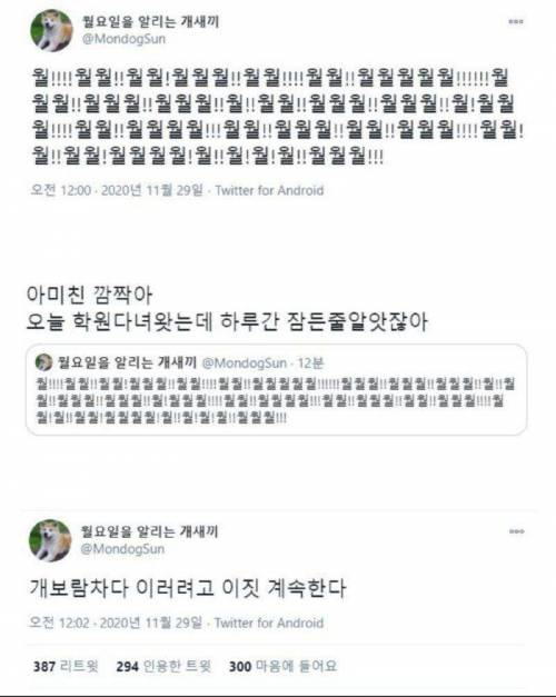 직장인의 애환을 깨달은 개새끼