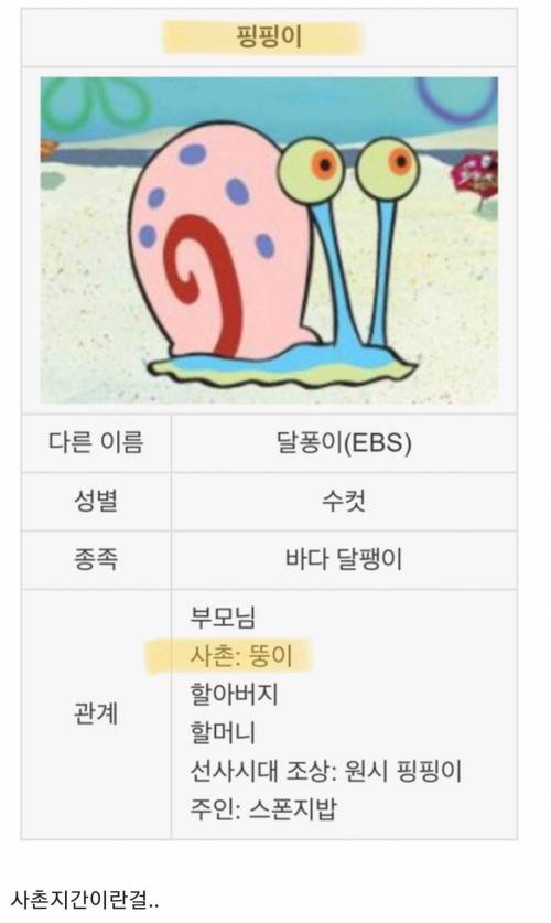 스폰지밥의 충격적인 설정.jpg
