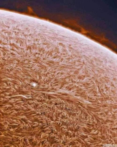 나사에서 공개한 태양의 표면 사진.jpg