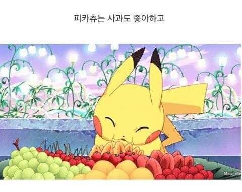 [스압] 피카츄가 케찹을 좋아하는 이유.jpg