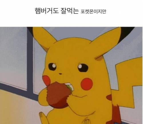 [스압] 피카츄가 케찹을 좋아하는 이유.jpg