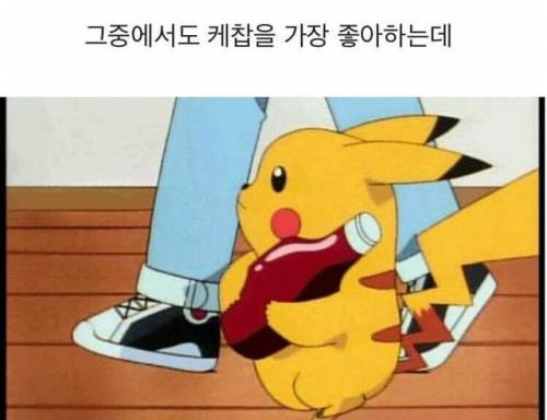 [스압] 피카츄가 케찹을 좋아하는 이유.jpg