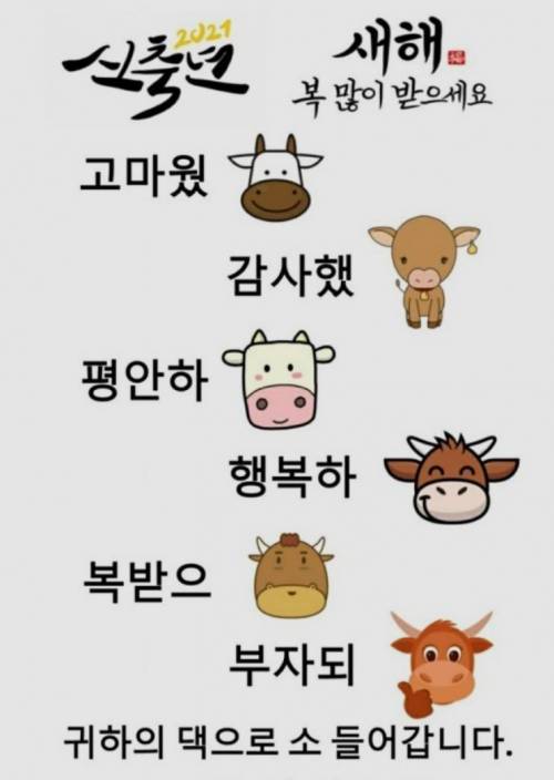 새해복 많이 받으세요~~