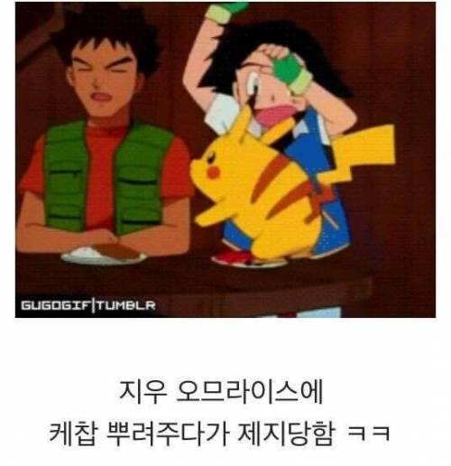 [스압] 피카츄가 케찹을 좋아하는 이유.jpg