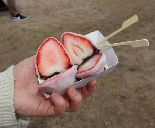 [스압] 코로나 때문에 취소됐다는 논산딸기축제.......jpg