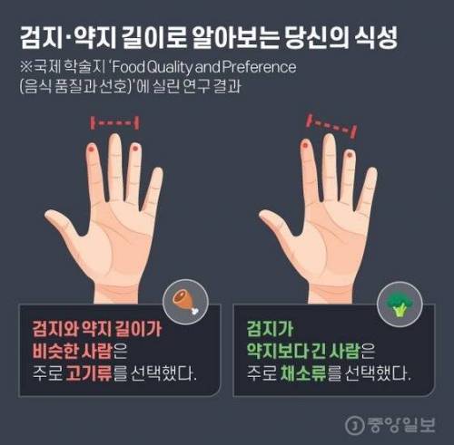 손가락 길이로 식성을 알수있음.jpg