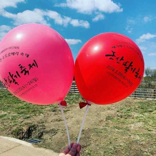 [스압] 코로나 때문에 취소됐다는 논산딸기축제.......jpg