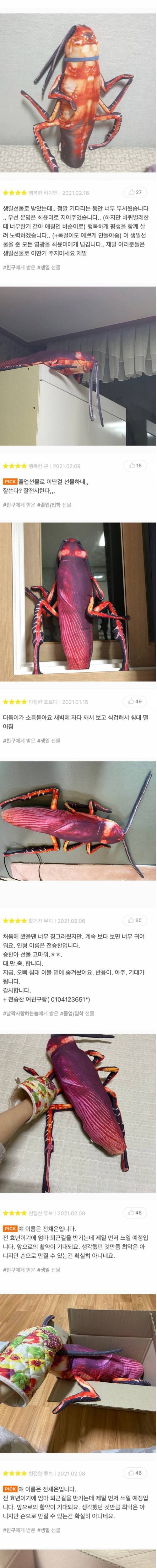 [스압] [혐주의]바퀴벌레 쿠션 구매후기 ㄷㄷㄷ