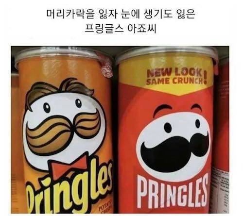 프링글스 근황.jpg