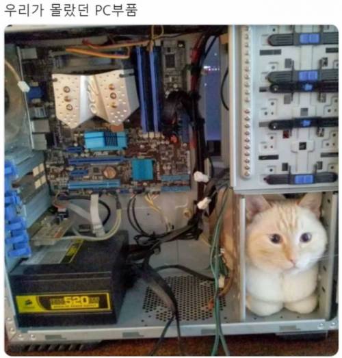 우리가 몰랐던 PC부품.jpg