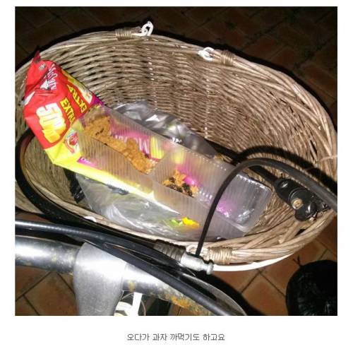 살 빼려고 자전거 샀는데....jpg