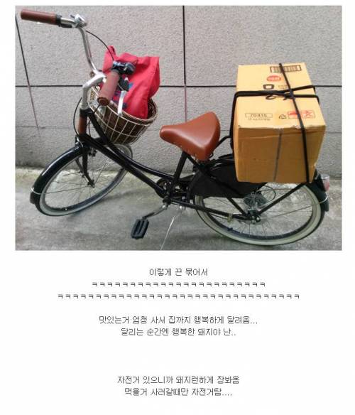 살 빼려고 자전거 샀는데....jpg