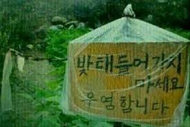 어르신들 맞춤법.jpg