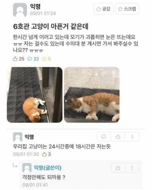 에타에서 전문 용어 쓰는 수의대생.jpg