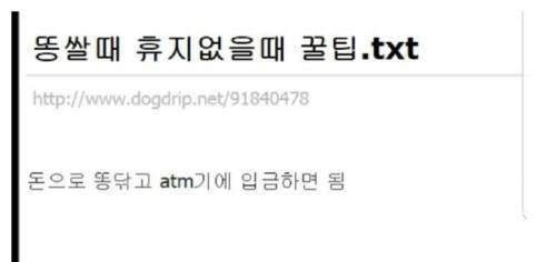 똥 싸고 휴지 없을 때 개꿀팁.jpg