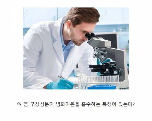 [스압] 바다의 무법자 아무르 불가사리.jpg