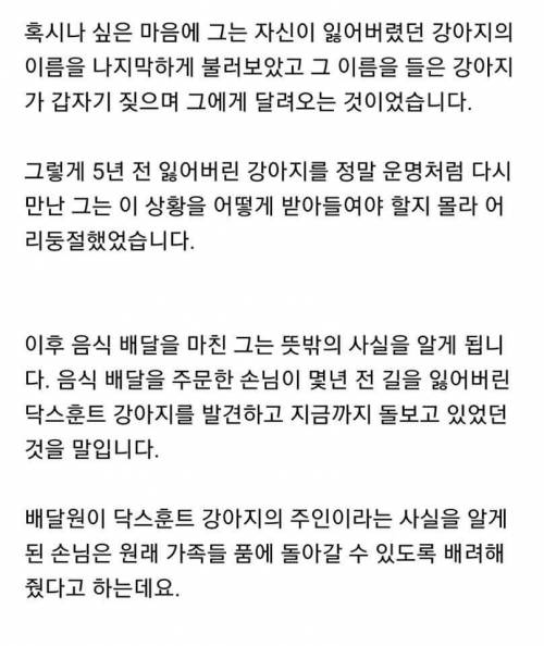 배달하러 갔다가 5년 전 잃어버린 강아지 다시 만나서 눈물 흘린 배달원