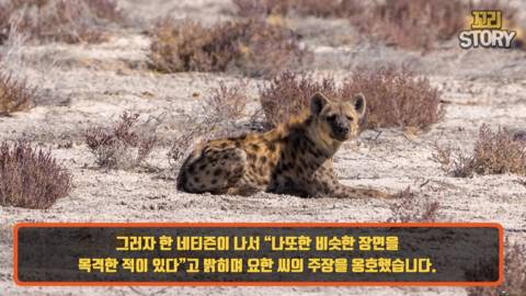 스스로 사자에게 다가가 죽은 영양