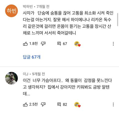 스스로 사자에게 다가가 죽은 영양