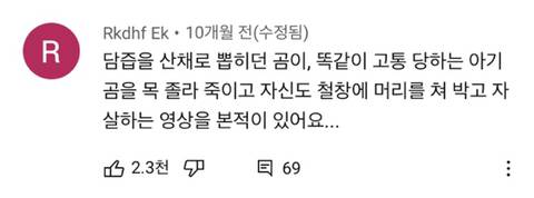 스스로 사자에게 다가가 죽은 영양