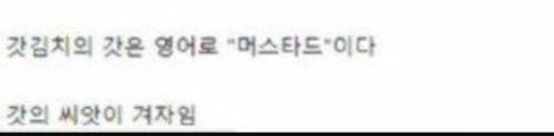 어떤 김치의 충격적인 사실