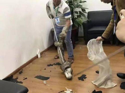 긴장감쩌는 아침 미팅.jpg