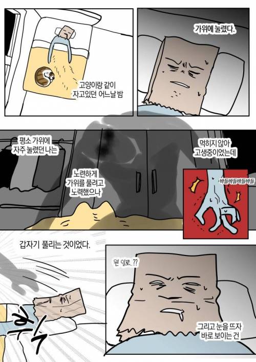 고양이랑 같이 자다가 가위 눌린 만화.jpg