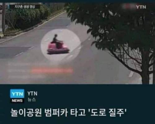 동심 과잉.jpg