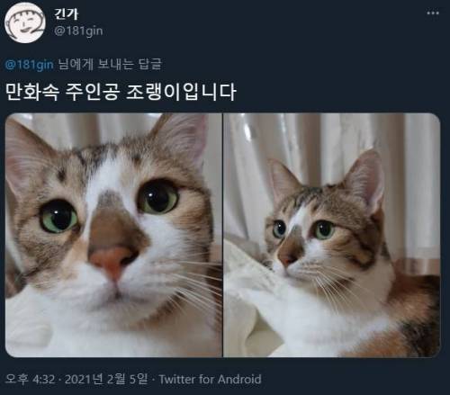 고양이랑 같이 자다가 가위 눌린 만화.jpg