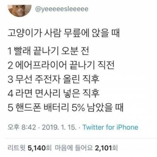 고양이가 사람 무릎에 앉을 때