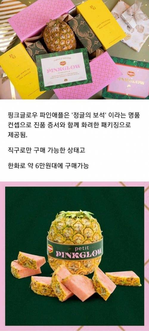 [스압] 20년에 걸친 델몬트의 야심작.jpg