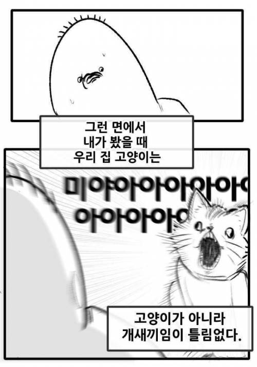 [스압] 고양이랑 산책하는 만화.jpg