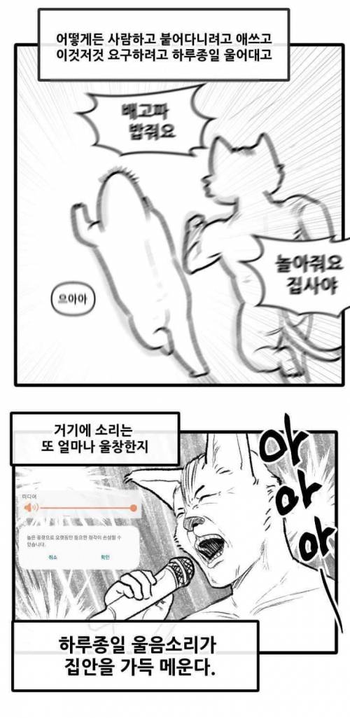 [스압] 고양이랑 산책하는 만화.jpg