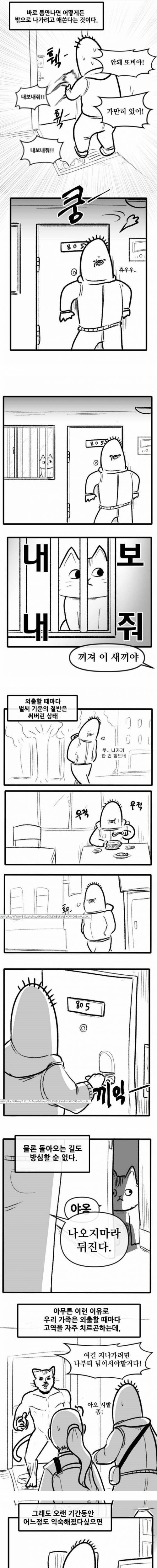 [스압] 고양이랑 산책하는 만화.jpg