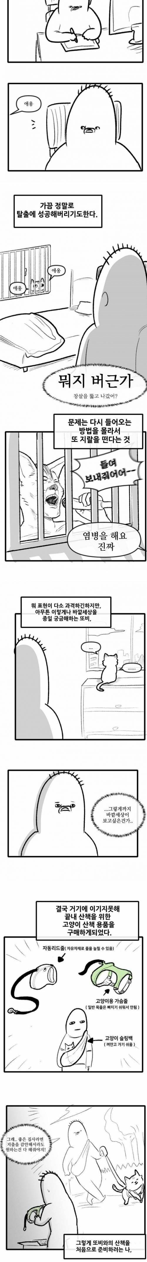 [스압] 고양이랑 산책하는 만화.jpg