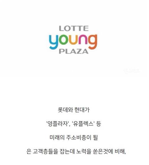 [스압] 국내 4대 메이저 백화점별 특징.jpg
