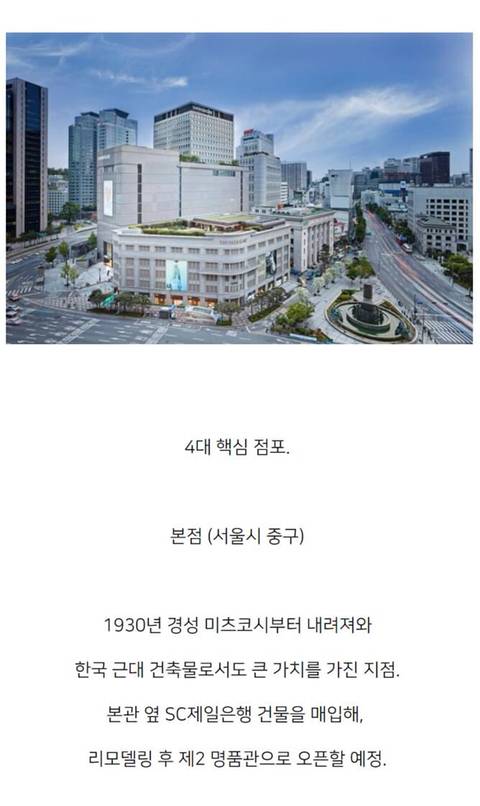 [스압] 국내 4대 메이저 백화점별 특징.jpg