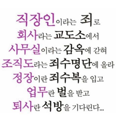 싸이월드 부활 시 이거 업로드 해야함.jpg