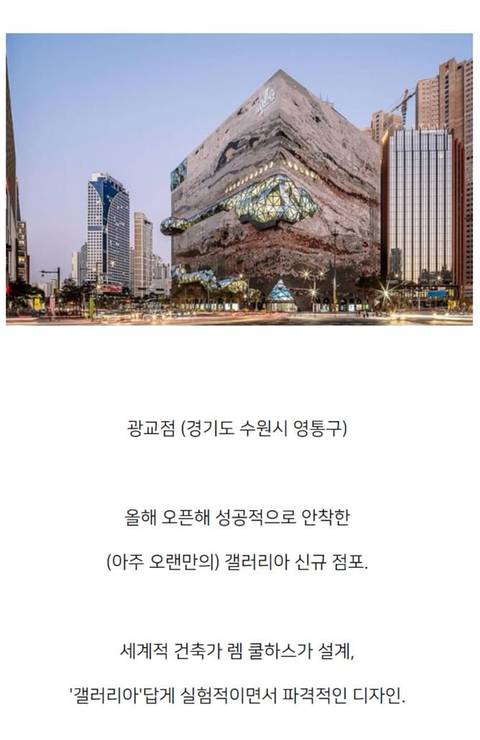 [스압] 국내 4대 메이저 백화점별 특징.jpg