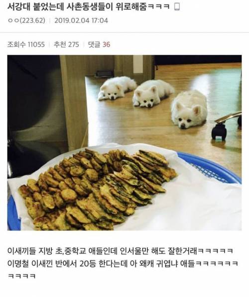 서강대 붙었는데 사촌동생들이 위로해줌.jpg