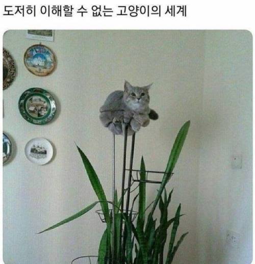 아무래도 명당을 찾은것 같다.jpg