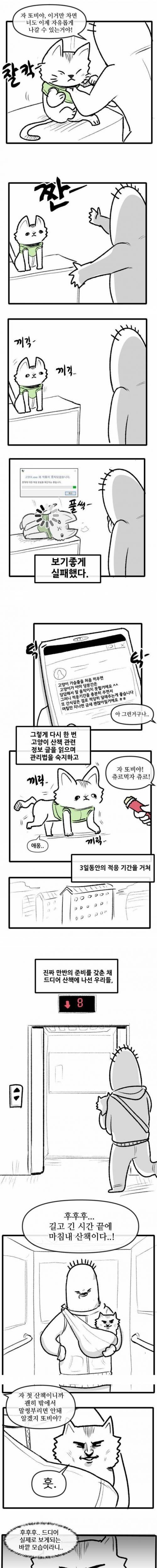 [스압] 고양이랑 산책하는 만화.jpg