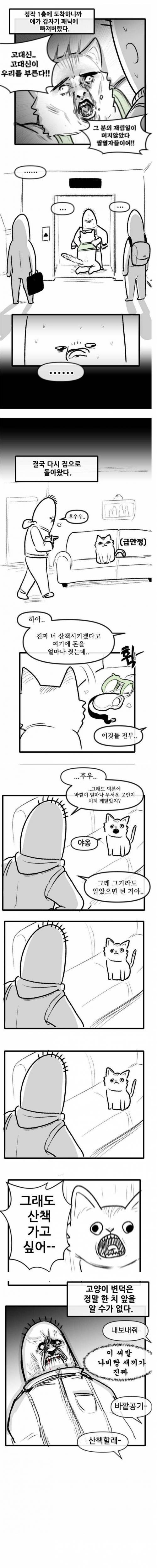 [스압] 고양이랑 산책하는 만화.jpg