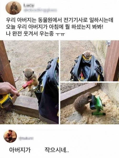 전기기사 아버지.jpg