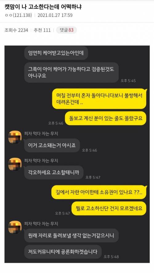 길고양이 훔쳐갔다며 고소.jpg