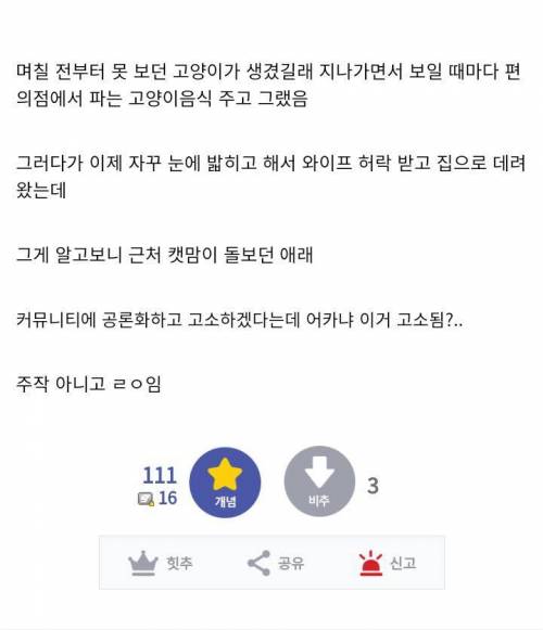 길고양이 훔쳐갔다며 고소.jpg
