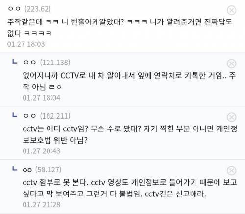 길고양이 훔쳐갔다며 고소.jpg