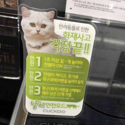 수많은 고양이들이 이루어낸 기술의 발전.jpg