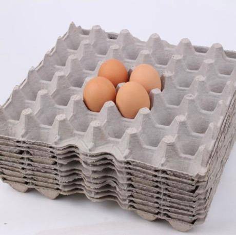 계란판 만드는 과정.jpg