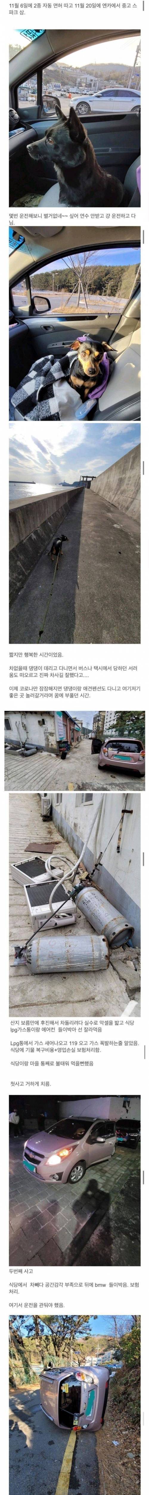 [스압] 이분이 면허 딴지 2달 만에 생긴 일들.jpg